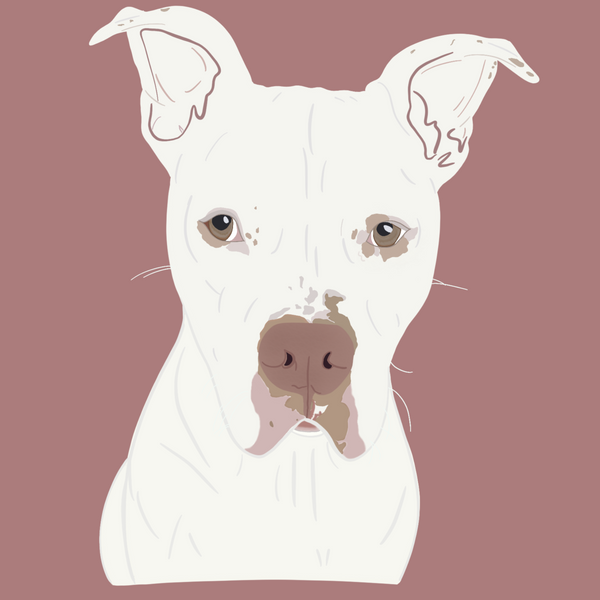 Custom Pet Illustration | Read Entire Description Before Ordering